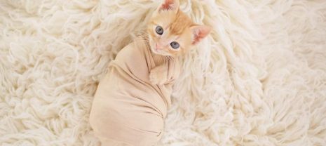 LiviaC-FB_IMG_1588455765405